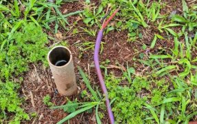 Arrestaron a dos hermanos que habrían sustraído cables y tomacorrientes de Plaza en la localidad misionera de Ruíz de Montoya