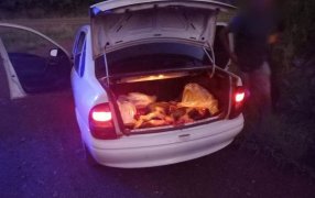 Abigeato: En la noche de ayer se logró la detención de seis personas, "en infraganti" con carne porcina faenada de un conocido productor del Municipio misionero de Fachinal