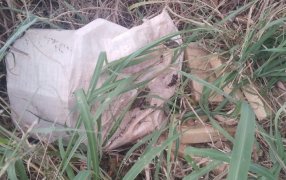 Agentes rurales de la Policía de Misiones, incautaron droga valuada en 88 millones de pesos en el Municipio de Garuhapé