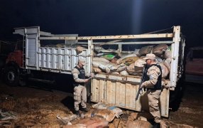 Misiones: Prefectura Naval Argentina secuestró más de 13 toneladas de soja