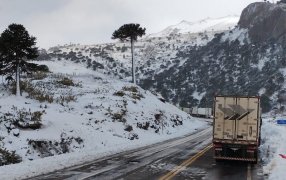 Camiones varados en Chile: Transportistas piden a Aduana y SENASA que agilicen el paso por Neuquén