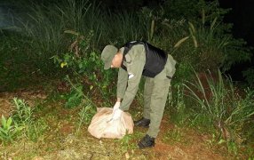 Gendarmería Nacional halló estupefaciente en la localidad de Puerto Esperanza
