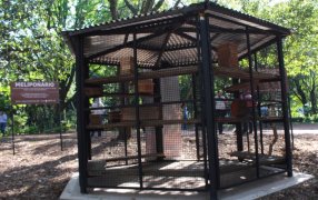 Posadas: Se inauguró un nuevo Meliponario en Misiones