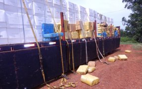 Gendarmería Nacional secuestró millonario cargamento de marihuana