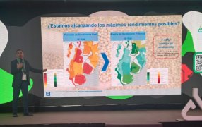 Los bioestimulantes crecen de la mano de la agricultura regenerativa