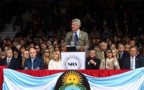 La Rural: Nicolás Pino brindó su discurso en el acto inaugural de la exposición, con fuertes críticas al Gobierno Nacional