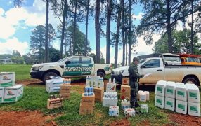 Herbicidas, plaguicidas y químicos para el tratamiento del agua eran transportados en un vehículo sin habilitación, asimismo, los elementos carecían de documentación respaldatoria