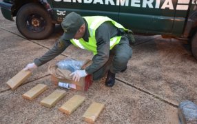 Encuentran marihuana valuada en más de cinco millones de pesos en encomiendas