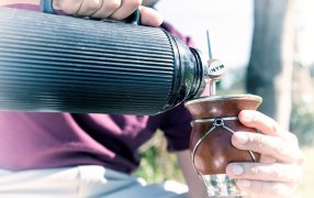 Las ventas de yerba mate continúan con indicadores positivos en mercado interno y exportaciones