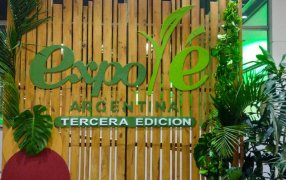 Expo Té Argentina 2025: Misiones reunió a toda la cadena tealera y proyectó su potencial productivo, turístico y cultural