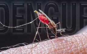 Viajes en épocas de Fiestas: Salud Pública reitera a los viajeros tomar precauciones para evitar casos de Dengue, Chikunguña y Zika