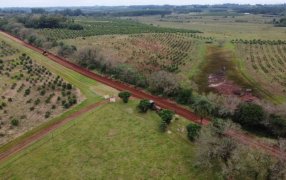 Apóstoles: Continúan los trabajos sobre caminos rurales del Municipio, es fundamental mantener en buen estado estos accesos tan importantes para el vecino productor