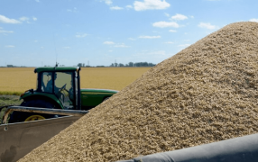 Argentina, líder en la tabla de los pocos países donde el campo pierde recursos en manos del Estado