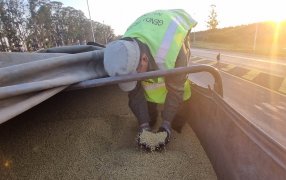 Gendarmería Nacional secuestró 180 toneladas de granos, que fueron producto de sucesivos procedimientos durante el fin de semana