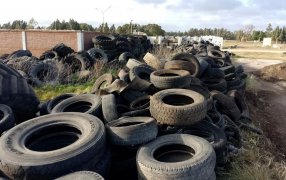 Posadas: Plan integral para la disposición responsable de neumáticos en desuso