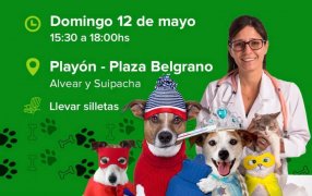 Apóstoles: Jornada de Vacunación y Desfile de Mascotas con Disfraces por el Día del Animal, será el próximo día domingo 12 de Mayo en el Playón de la Plaza Belgrano