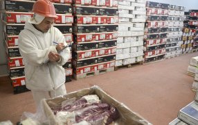 En Enero, repuntó el ingreso de dólares por exportaciones de carne