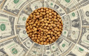 Comenzó a regir el nuevo “dólar soja”: ¿Habrá un tipo de cambio diferencial?