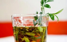 ¿Por qué todos los primeros de Agosto se toma caña con ruda?