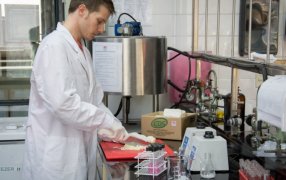 Qué beneficios aporta el queso con fitoesteroles y antioxidantes naturales