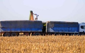 El costo del flete: Se necesita 13% más soja y 20% más maíz que el año pasado para pagar el camión
