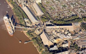 ¿Cómo impactará en Argentina?, Bunge compró Viterra y se potencia como otro gigante global del agro