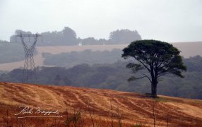 Kaapuera advierte que los daños que traen las intensas lluvias están vinculadas con la pérdida de selva y represas
