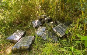 Misiones: Gendarmería Nacional realizó una importante incautación de estupefacientes, estaba oculto entre la vegetación