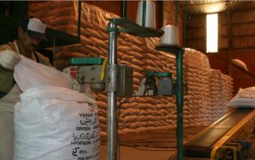 Yerba mate: Las exportaciones continúan subiendo, mientras que se paralizaron las importaciones de yerba canchada