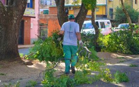 Posadas: De cara a la temporada de poda capacitarán a podadores urbanos artesanales