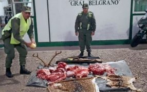 Cazadores furtivos llevaban carne faenada, cueros y un huevo de ñandú, además, el personal de Gendarmería Nacional incautó armamento junto con municiones