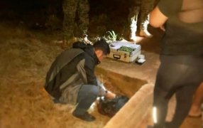 La Policía de Misiones frustró la distribución de marihuana destinada al narcomenudeo, continúa con la investigación para identificar y capturar a los presuntos narco-deliverys