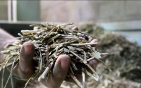 Capacitan a profesionales en la implementación de la normativa orgánica