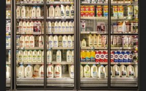 Estados Unidos: Senadores presionan para que se prohíba el uso de términos lácteos en alternativas cultivadas en laboratorio