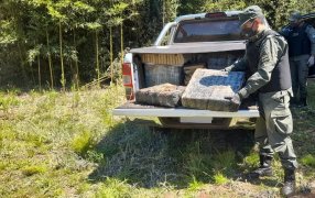 Narcotráfico: Gendarmería Nacional incautó de marihuana en Misiones