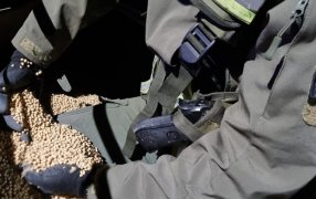 Integrantes de Gendarmería Nacional en Corrientes, realizaron incautación de soja a granel sin el correspondiente aval aduanero