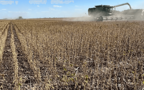 El daño de la sequía: El PBI del agro tuvo su mayor caída en 14 años