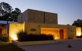 Bodega Trapiche Costa & Pampa: Una década de innovación y calidad en la viticultura Atlántica