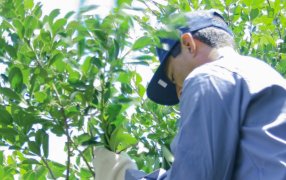 El Convenio de Corresponsabilidad Gremial cumple una década como herramienta que beneficia a toda la cadena yerbatera