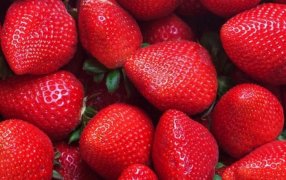 Del campo a la góndola, los precios de los agroalimentos se multiplicaron por 3,4 veces en Octubre