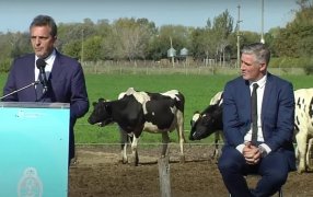 Los anuncios de Sergio Massa: El campo pide “un cierre de gestión sin más medidas distorsivas”