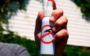 Según el CONICET: Aerosol, gel o crema, la efectividad de los repelentes es la misma