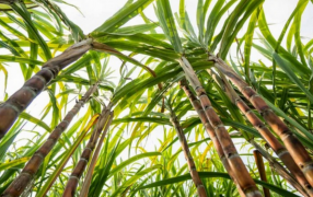 En Septiembre, las exportaciones de las economías regionales alcanzaron los 8.649 millones de dólares, el monto más alto desde Enero 2023