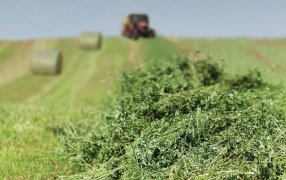 Exportaciones agroindustriales caen más del 30%, aunque algunos complejos salvan la ropa