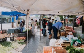 De la chacra a tu mesa: Se celebró el 24º Aniversario de la Feria Franca "Villa Urquiza" en la ciudad de Posadas
