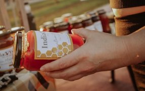 Día Nacional del Apicultor: Misiones impulsa el crecimiento del sector apícola