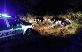 Misiones: Gendarmes hallaron millonario acopio de marihuana entre la maleza