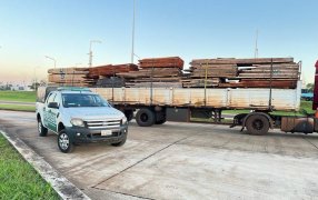 Gendarmería Nacional incautó un camión que transportaba madera nativa