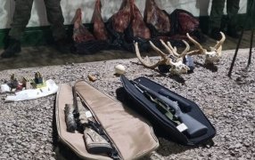 Gendarmería Nacional interceptó un vehículo que trasportaba armas y faena ilegal