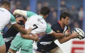 Rugby: Los Pumas cayeron ante los Springboks de Sudáfrica en su último test match en el país antes del Mundial